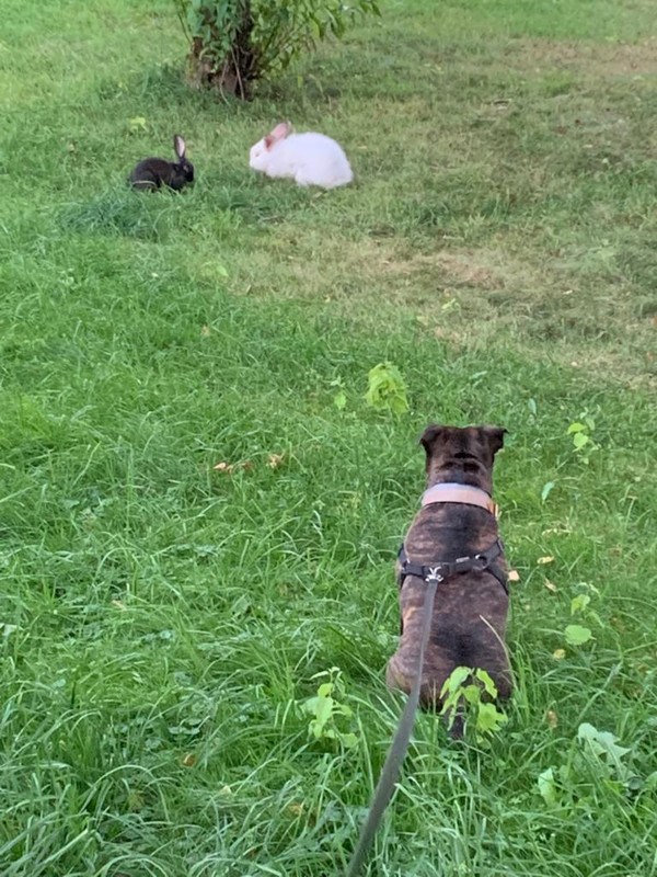 C02975D6-852E-474B-86B3-403B04E71B55