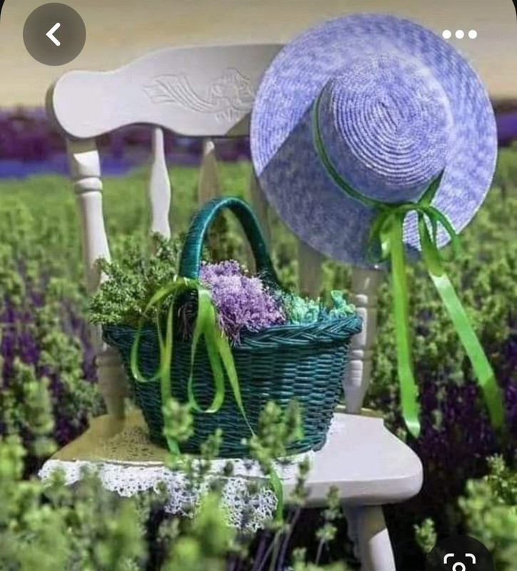 Screenshot_20230616_180835_Pinterest