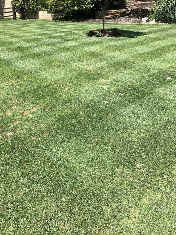 C6B602BB-6505-43FE-89EA-84648766D7E2