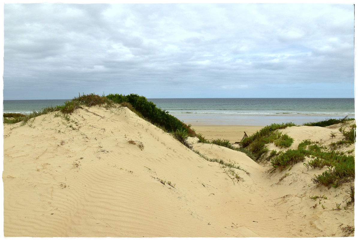 Narawntapu National Park - Australia (II): Recorriendo Tasmania (10)