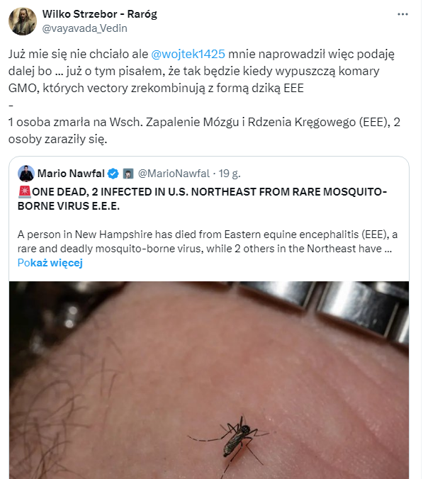 https://i.postimg.cc/05h9wYZj/2024-08-28-161421.png