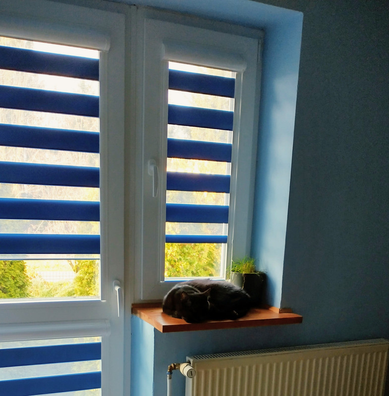 IMG 20251120 140644196 HDR 3