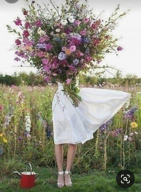 Screenshot_20230913_224755_Pinterest