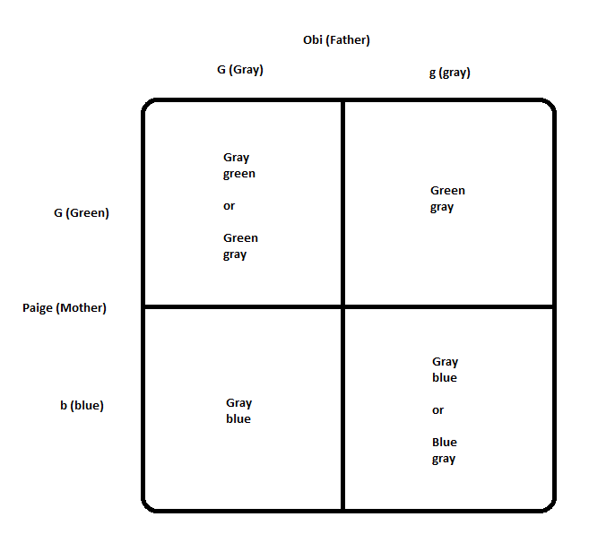 Obi-and-Paige-Eye-Color-Genotypes-and-Phenotypes2.png