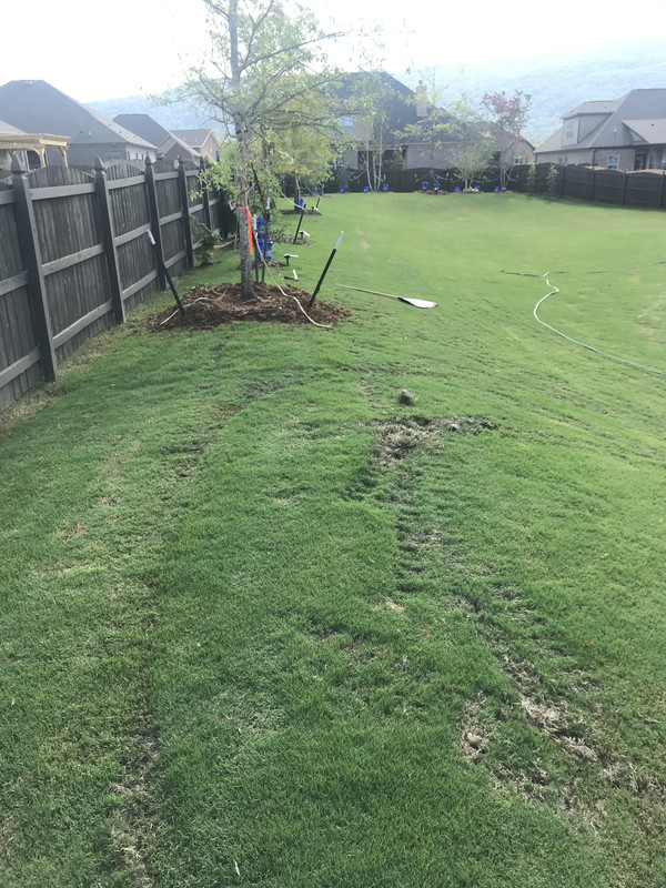 69ABB923-44AF-48DC-BBC5-63D44BB2C0E0