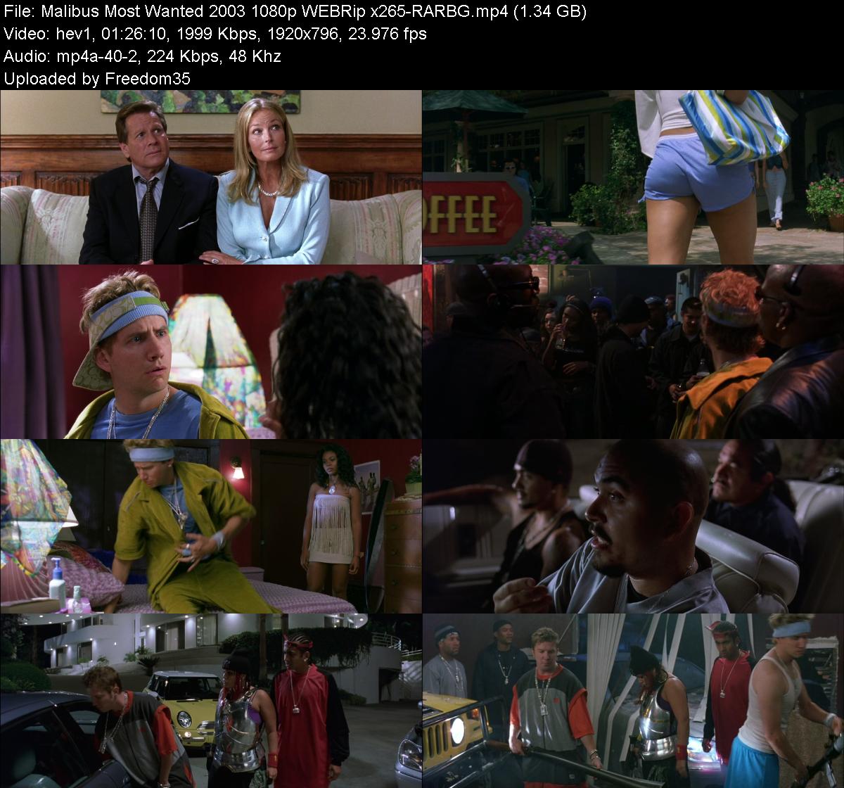 Malibus-Most-Wanted-2003-1080p-WEBRip-x2