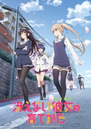 telecharger-saenai-heroine-no-sodatekata-vostfr-ddl-pack-mega