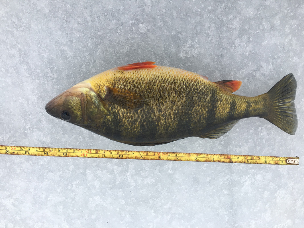 AB9882B1-AE3F-4CC8-9FC8-9394765097D3