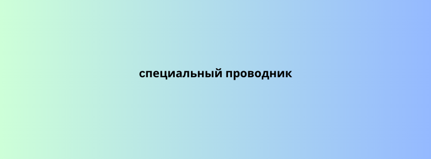 cпециальный проводник