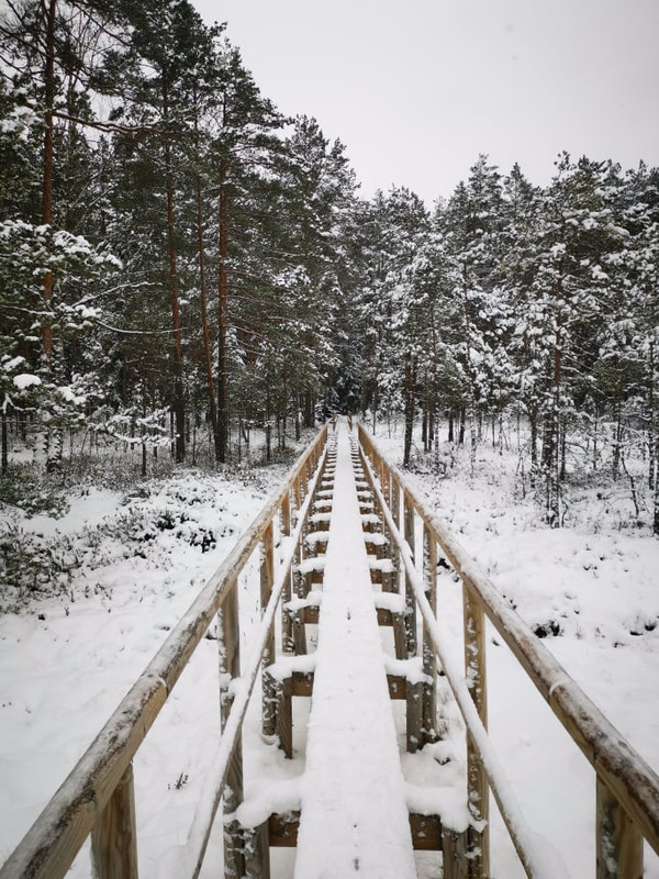 138553752_1122663274848535_471102481961255163_n