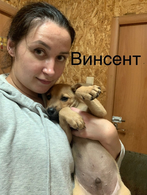 Винсент