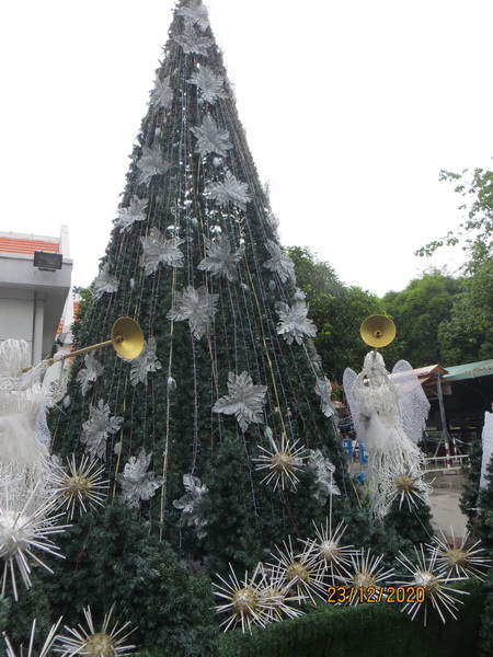 [Image: IMG_7507_resize.jpg]
