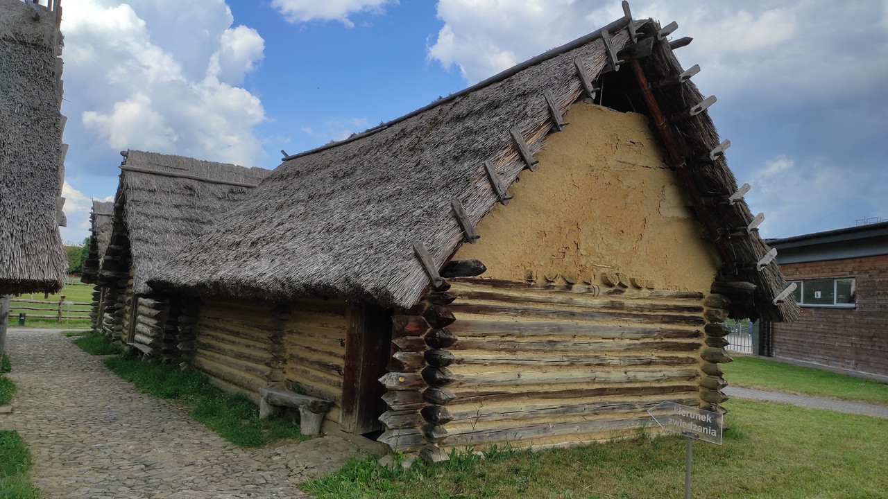 05.16 - IMG_20220617_151059 (Czesio1)