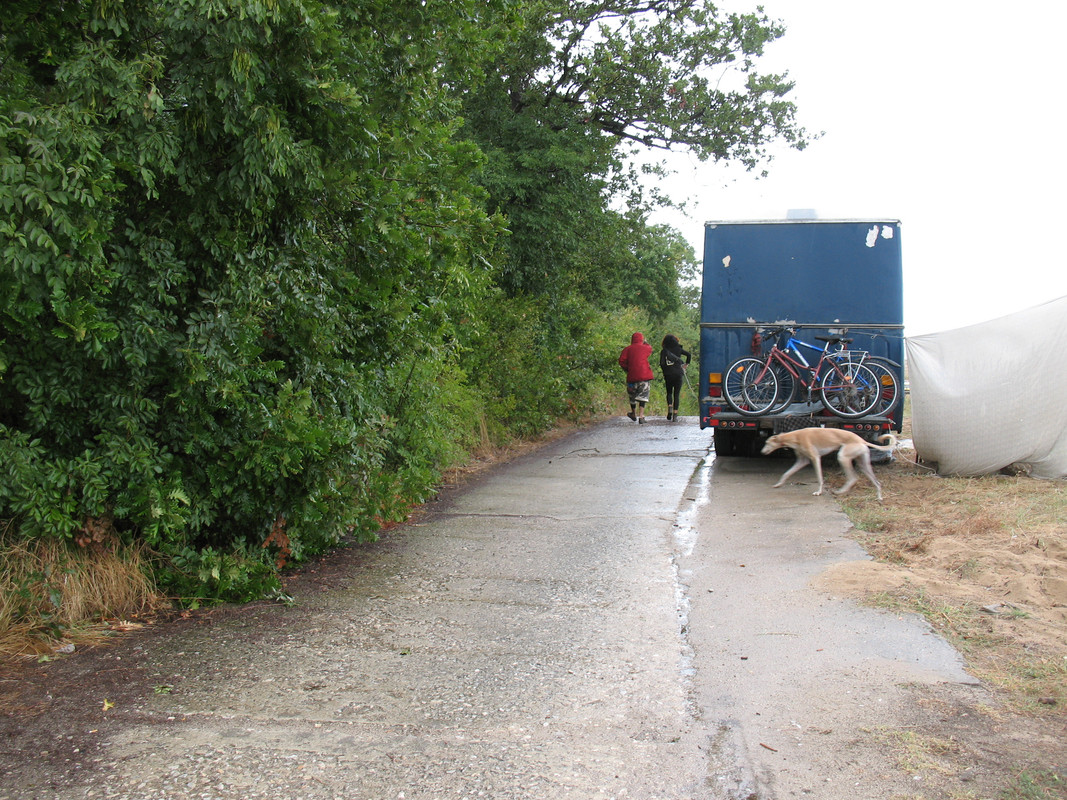 Teknival BG. 2017 (100)