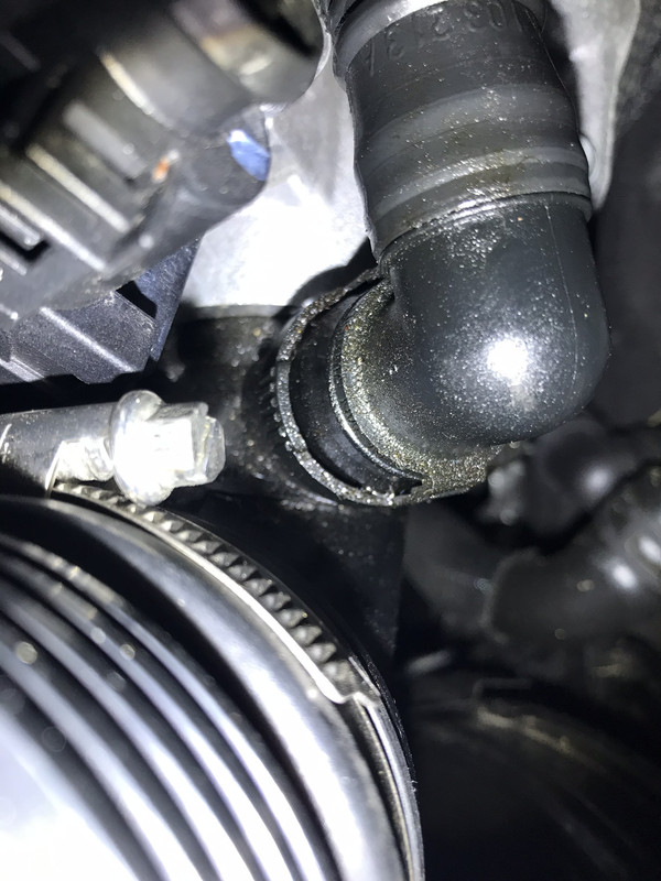 F393A971-74A0-4DC3-8B95-6D9363999EAC