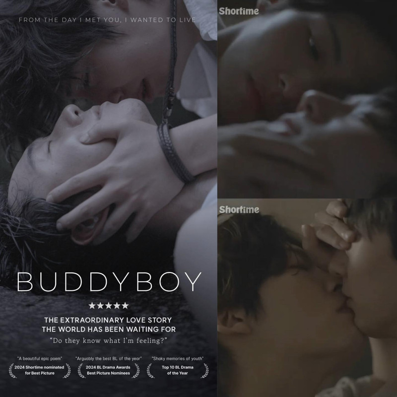Buddy-Boy-1