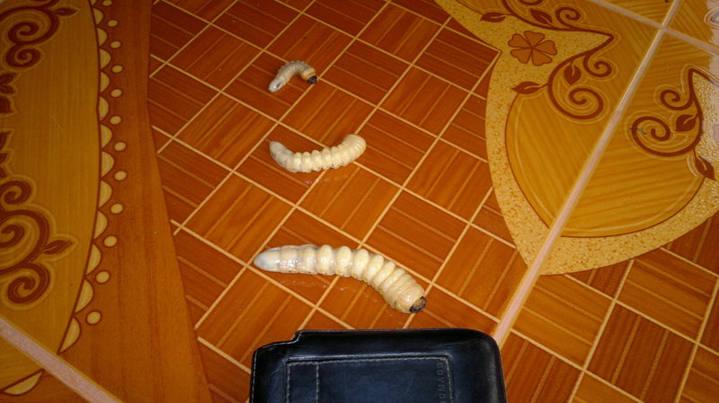 2014-03-26-1645