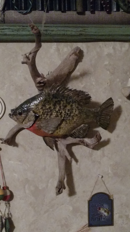 IMG_20200109_062304096