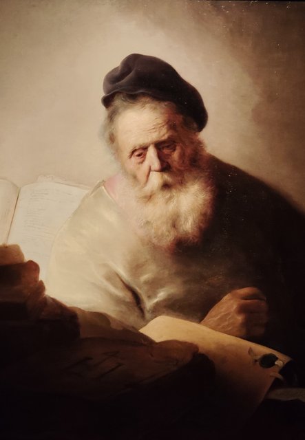 Escapada por Amsterdam - La Haya - Delft - Rotterdam - Leiden - Londres - Blogs de Europa - Museo Mauritshuis, decepcionante Depot Boijmans y callejeo por Delft y Leiden (206)