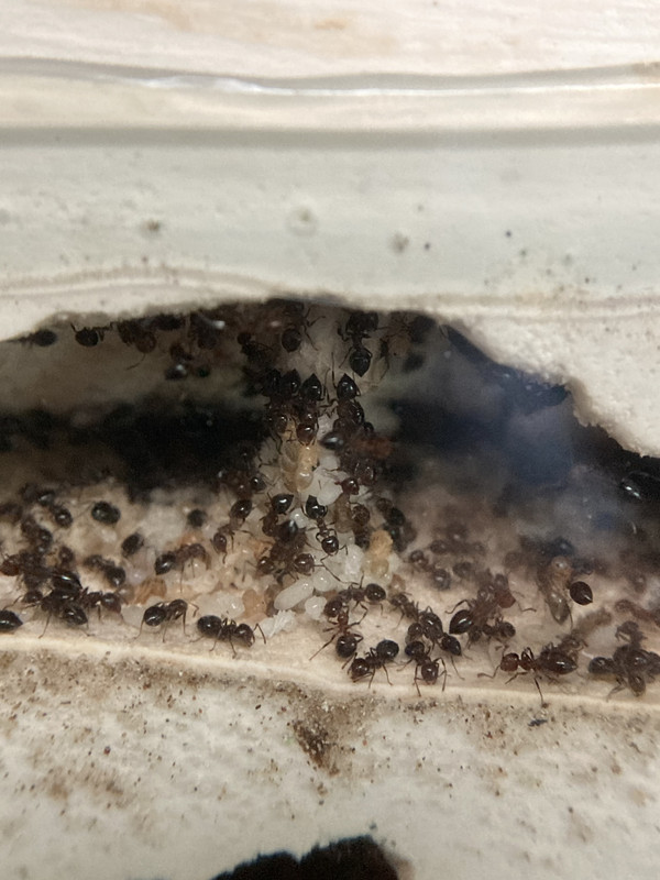 6200AB23-0193-4C5F-8C39-30019673FD83