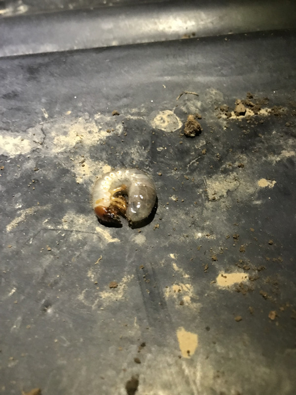 DA40D7AC-52FE-4132-AD5D-F873C236EE16