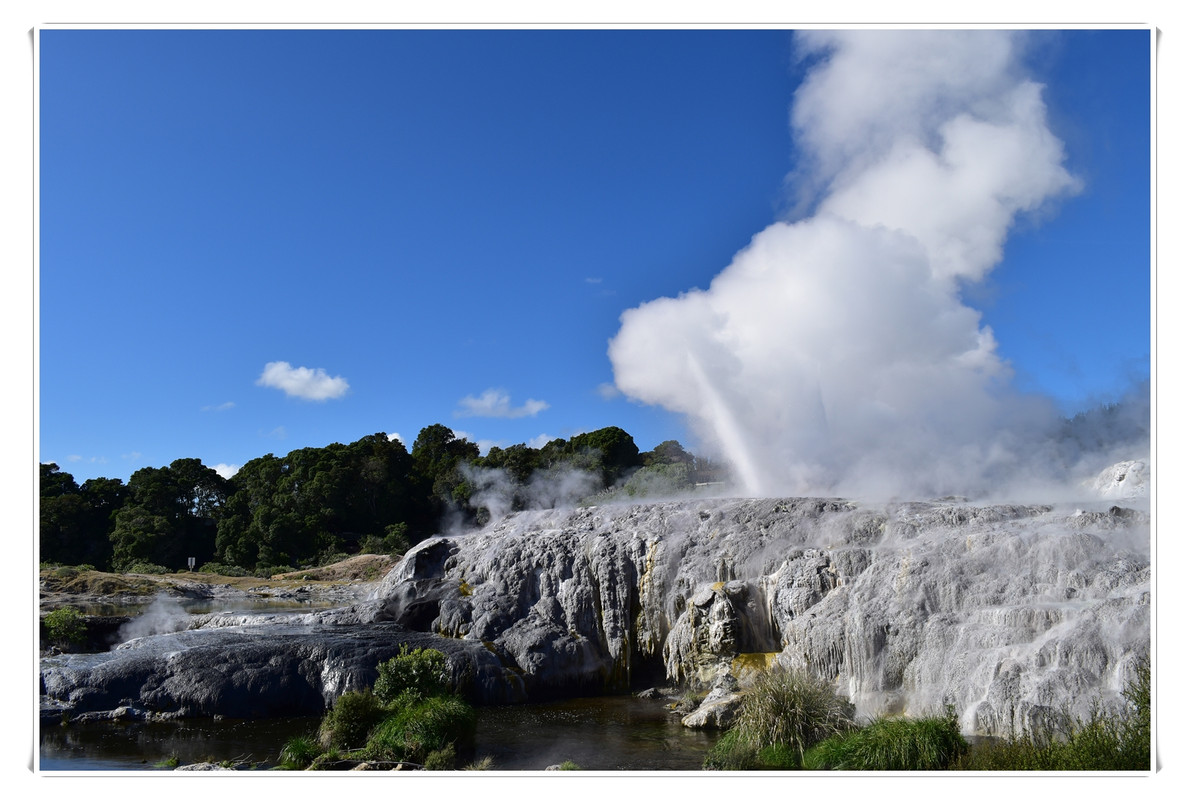 Cosas que hacer en Rotorua - Escapadas y rutas por la Nueva Zelanda menos conocida (5)