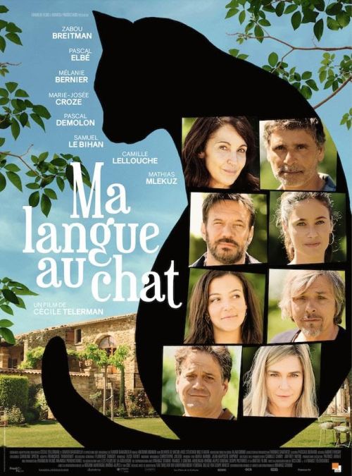 Wszystko przez kota / All Because of the Cat / Ma langue au chat (2023) MULTi.1080p.MAX.WEB-DL.x264-KiT / Lektor i Napisy PL
