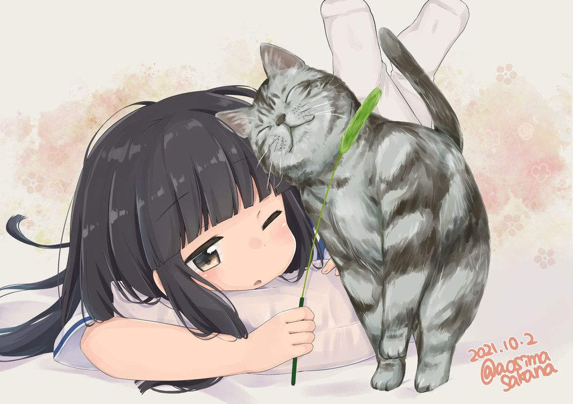 hatsuyuki-kantai-collection-drawn-by-aoshima-sakana-e6955219c7a3ee7bb2ffcd5a94bd61e4-1