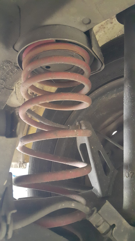 20211109_123534 (Large)