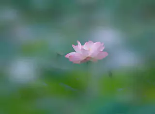 Free Images In PxHere