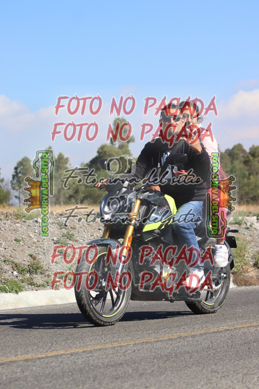 inbound4272519426438525315