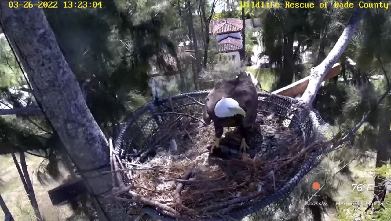 7F5FCF6B-E505-4BEB-802C-3229147ABA03