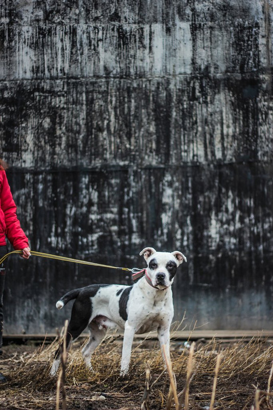 без имени-0207