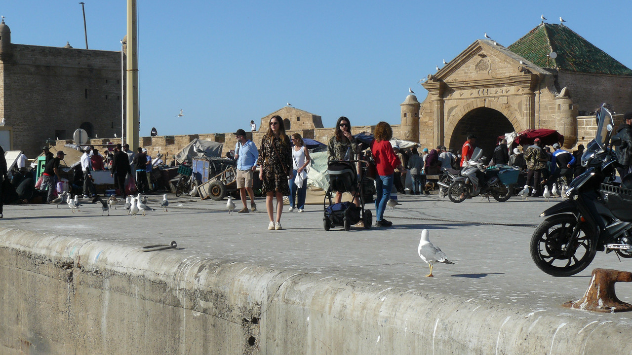 [Obrazek: P1120743.jpg]