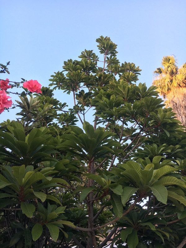 0B7217AC-9D5B-4706-BF26-D5EA089F7AAE