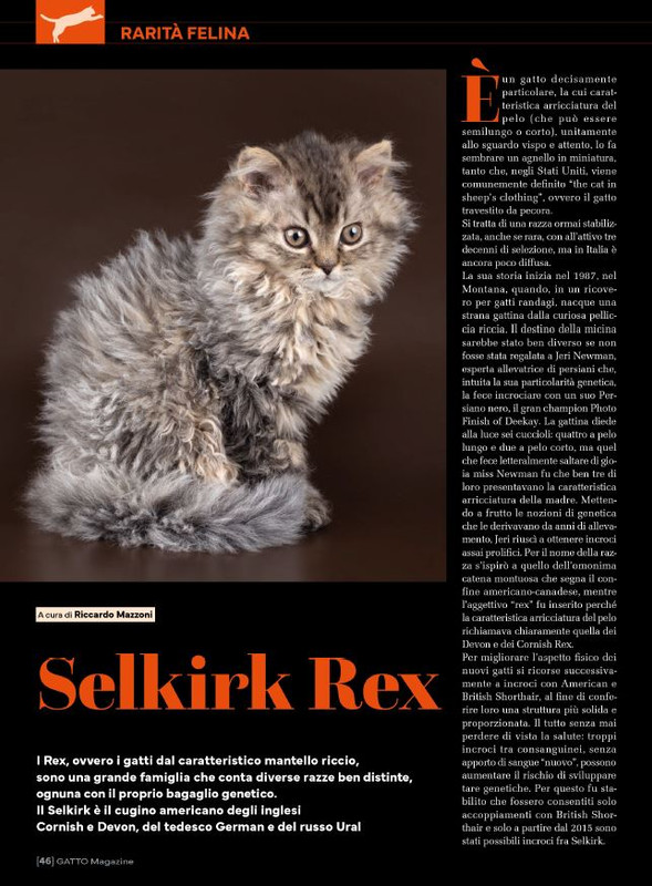 Ga Ma Giu-Lug 2025 (9)