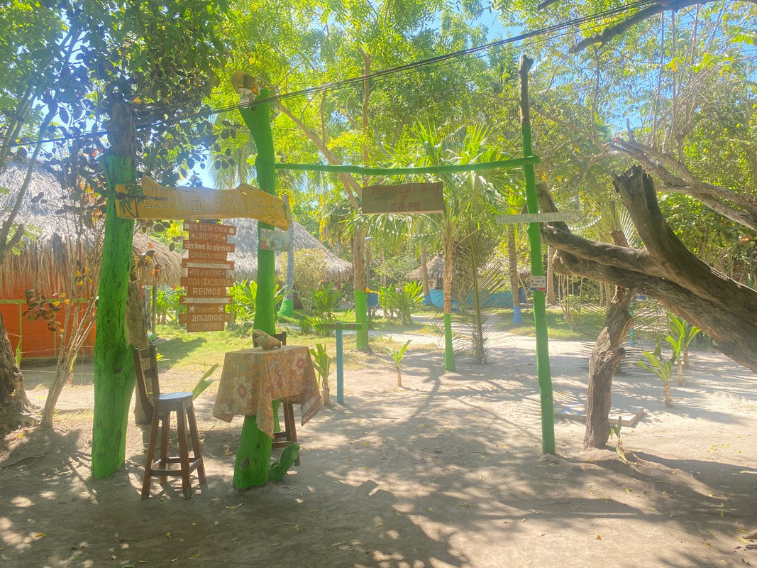 ECO HOTEL LAS PALMERAS