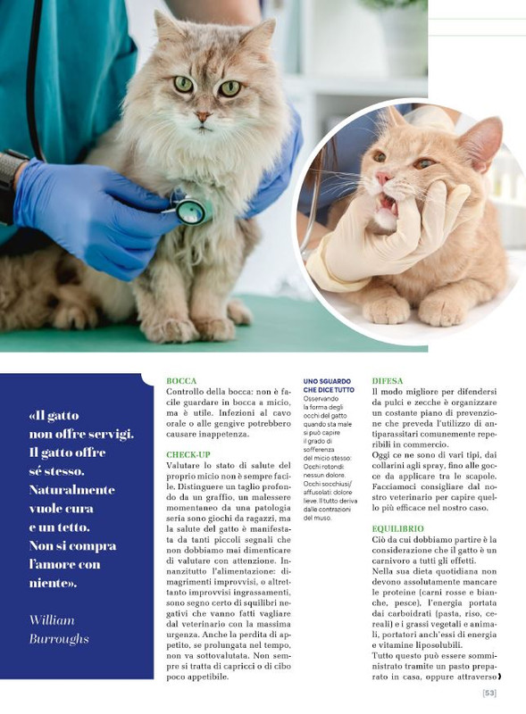 Ga Ma Dic 2023-Gen 2024 (12)