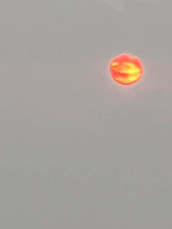 IMG_20230606_093928 (2)