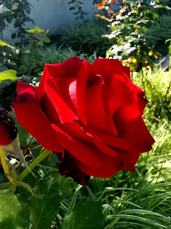 https://i.postimg.cc/05tG3KQs/IMG-20240110-135023-edit-286281190954753.jpg