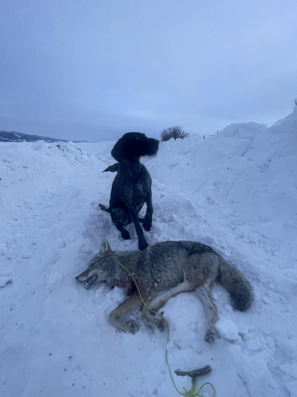 F7CE9E61-D460-4767-9CFC-055A755FE3C7