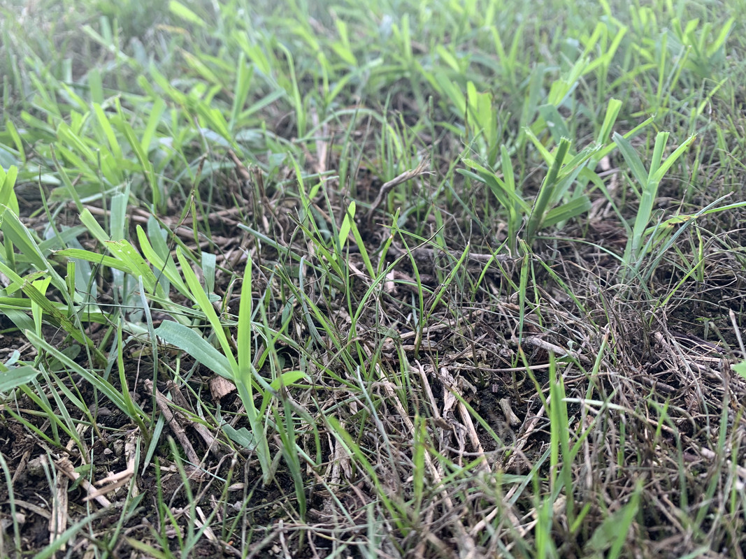 6B0AEF42-37EA-45A3-88AC-34282CDB08E5