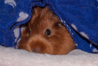 Amelia-Jane-posing.jpg