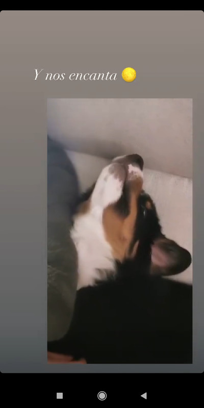 Screenshot_2021-01-02-22-24-32-677_com.instagram.android