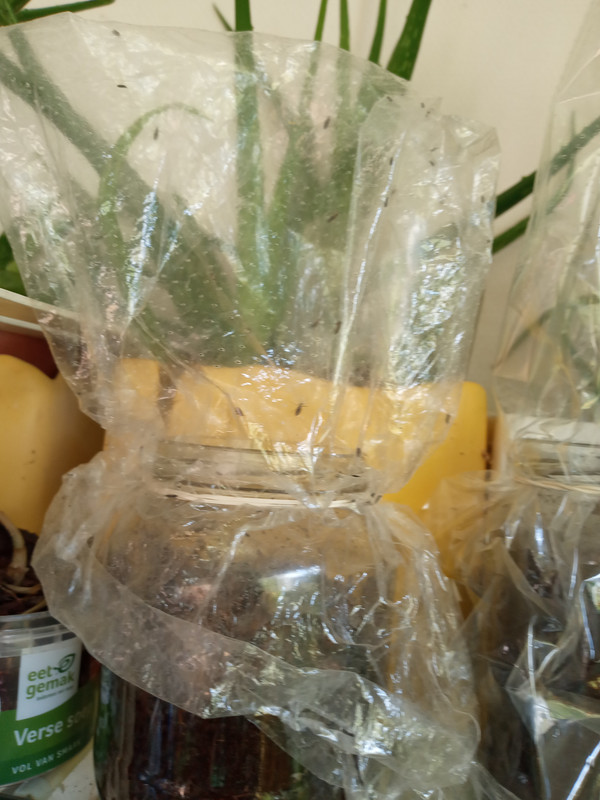 [Image: 20201023-112359.jpg]