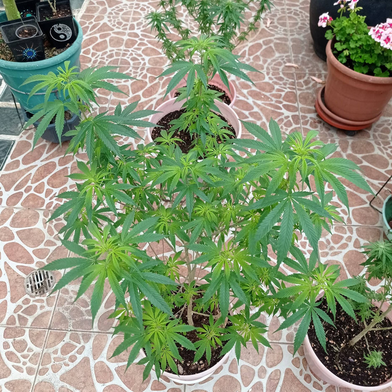 310133252_503172631666003_9061772544347375478_n