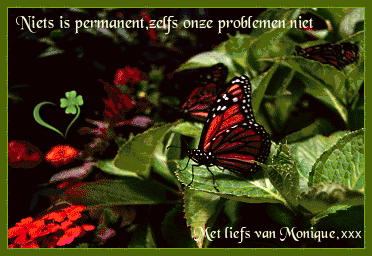 Niets-hartje.gif âborder=â0