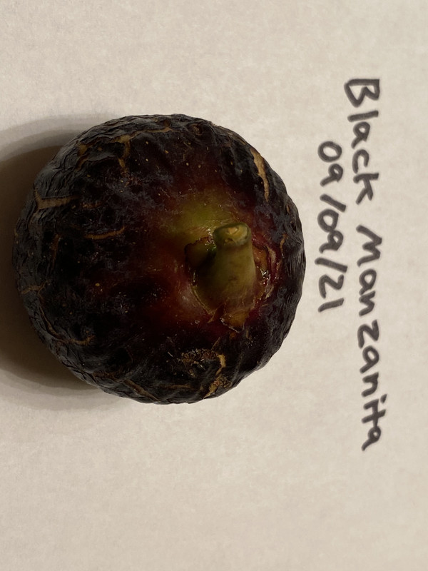 36D71543-07DB-4C69-A3CC-B28C21E69E8B