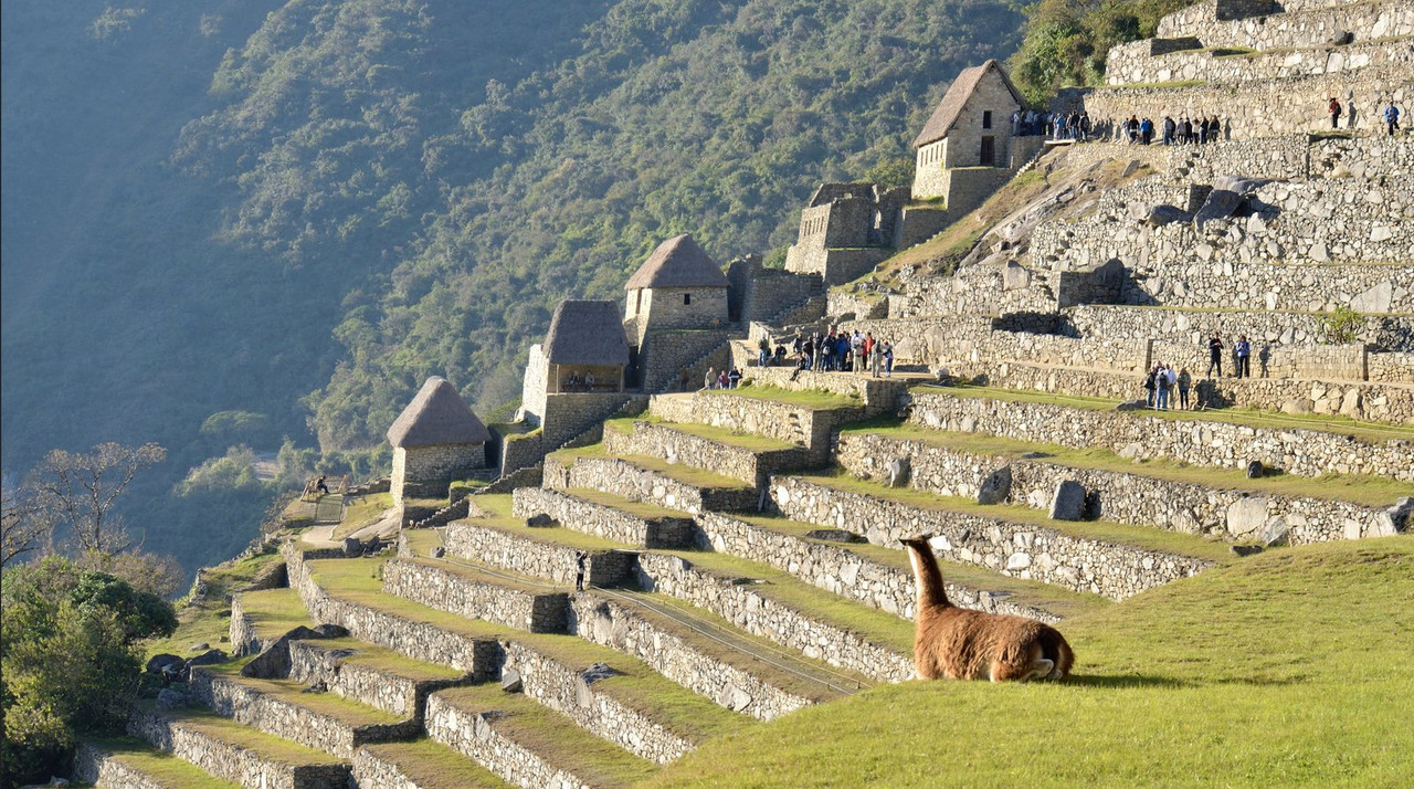 green-machu-pichu-dis1.jpg
