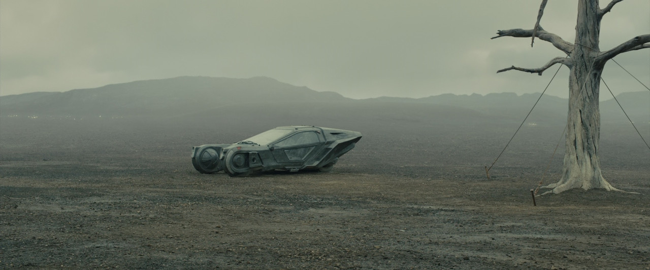 Blade Runner 2049 2017 (1080p x265 10bit Tigole).mkv_snapshot_00